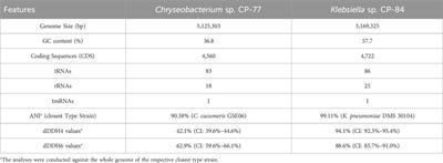 Exploring the biotechnological potential of novel soil-derived Klebsiella sp. and Chryseobacterium sp. strains using phytate as sole carbon source